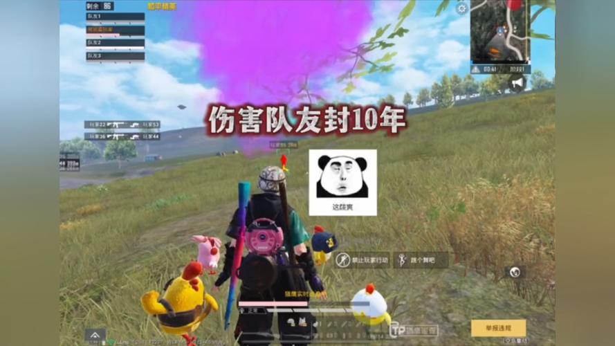 和平精英辅助得类型分为那些